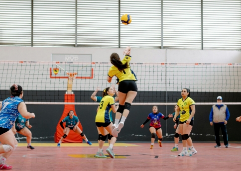 Volleyball team play party